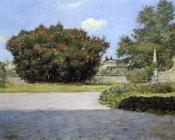 The Big Oleander - 威廉·梅里特·查斯